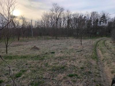 Plac Bela Crkva-Kajtasovo